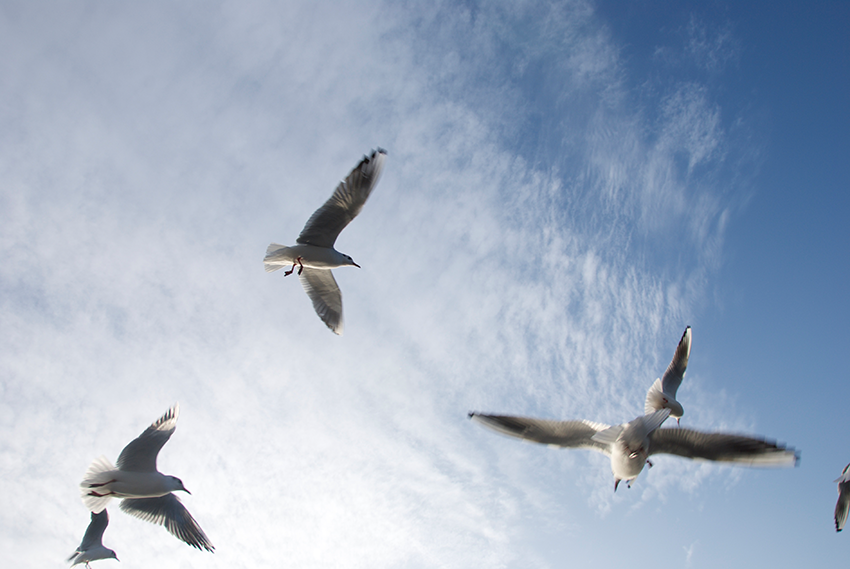 The picture is showing the artwork Your prospects will be heightened by the artist Sandra Miriam Ehlen