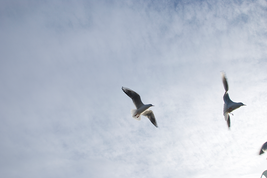 The picture is showing the artwork Your prospects will be heightened by the artist Sandra Miriam Ehlen