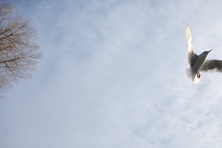 The picture is showing the artwork Your prospects will be heightened by the artist Sandra Miriam Ehlen