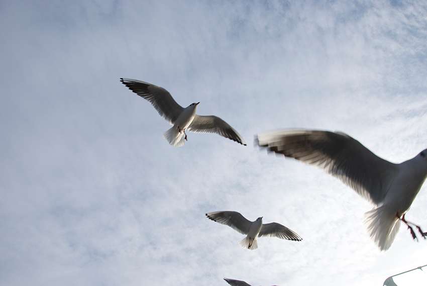 The picture is showing the artwork Your prospects will be heightened by the artist Sandra Miriam Ehlen