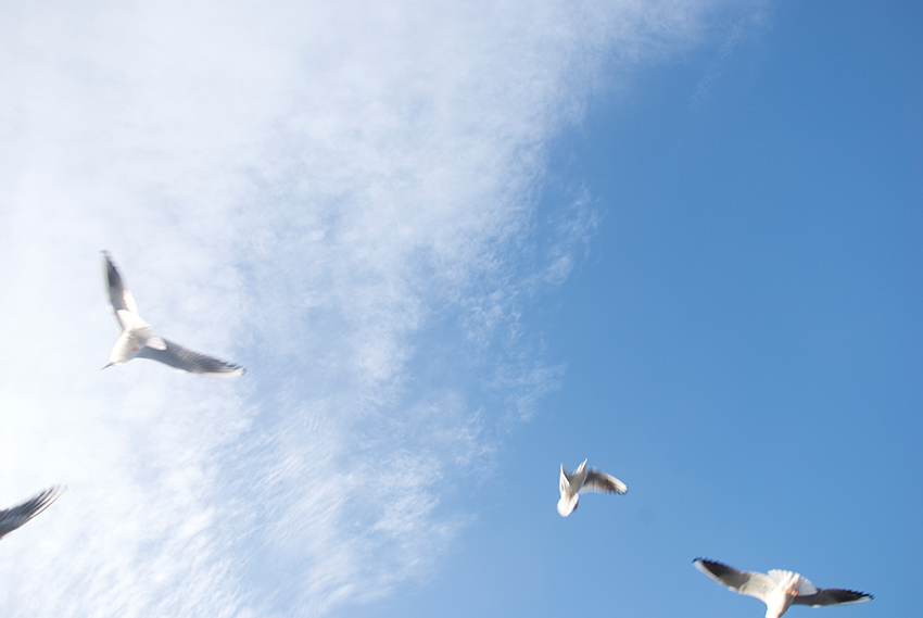 The picture is showing the artwork Your prospects will be heightened by the artist Sandra Miriam Ehlen